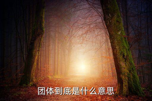 游說團(tuán)體是什么，什么是團(tuán)體