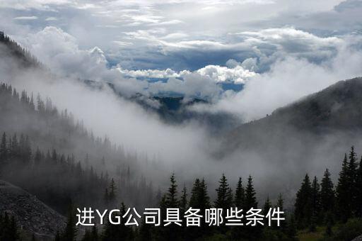 進信托公司有什么要求，進YG公司具備哪些條件