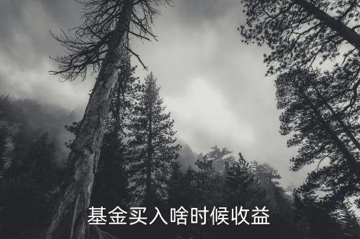 買基金什么時(shí)候算收益，基金買入啥時(shí)候收益