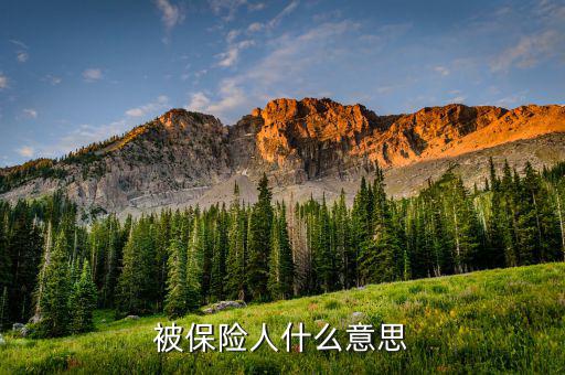 交強(qiáng)險(xiǎn)中的被保險(xiǎn)人是什么意思，什么是交強(qiáng)險(xiǎn)合同的被保險(xiǎn)人