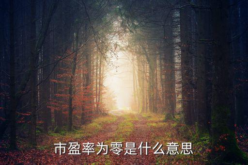 市盈率是0什么意思，市盈率為0是什么意思