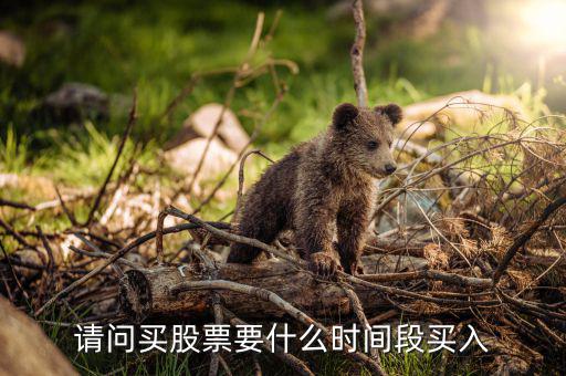 什么時候買入股票，請問買股票要什么時間段買入