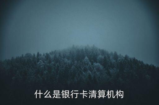 同一卡組織清算機構(gòu)指什么，銀行卡清算機構(gòu)銀行支付機構(gòu)到底有什么區(qū)