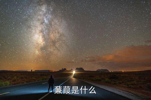 什么蒹施，蒹葭是什么意思
