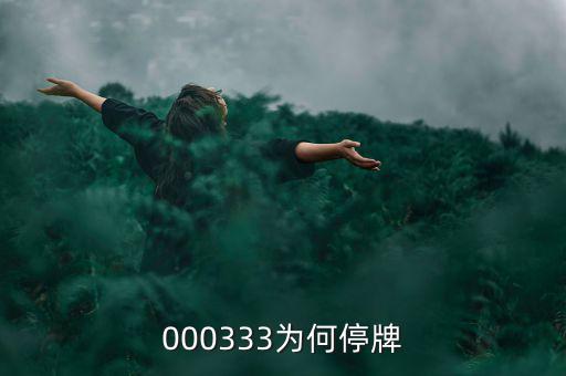 000333為什么停盤(pán)，000333為何停牌