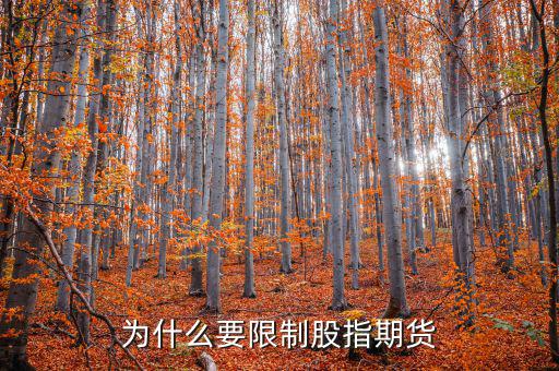 為什么不暫停股指期貨，為什么要限制股指期貨