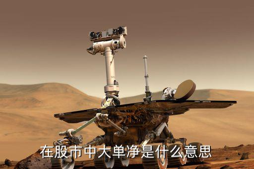 大單凈值什么意思，大單凈比是什么意思