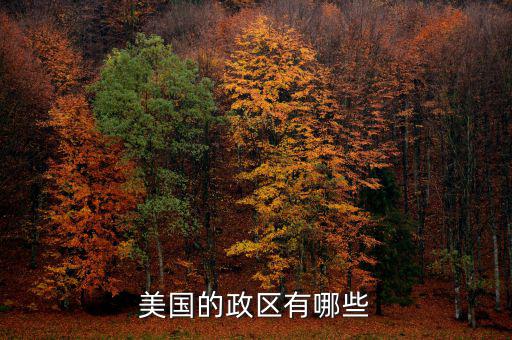 美國地方政府自治包括什么，美國的政府體制是什么