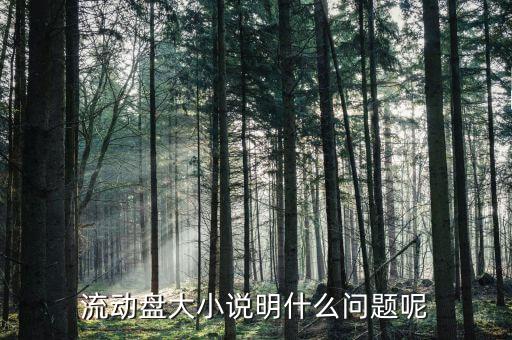流通盤(pán)大小是什么意思，流通盤(pán)大小作用等