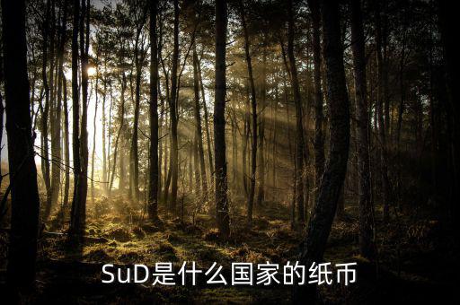 sud是什么貨幣，SUD是什么貨幣單位