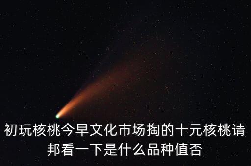 賭核桃是什么品種，請(qǐng)問(wèn)我這個(gè)手玩核桃是什么品種好嗎值多錢(qián)