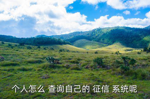 個人征信系統怎么查詢,個人信用報告如何查詢?