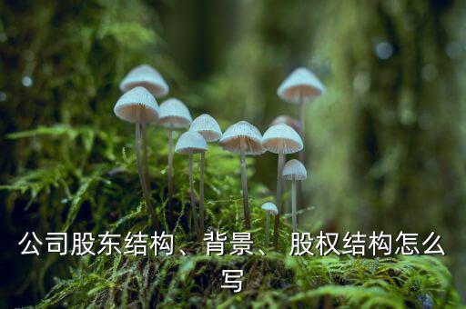 公司股東結(jié)構(gòu)、背景、 股權(quán)結(jié)構(gòu)怎么寫
