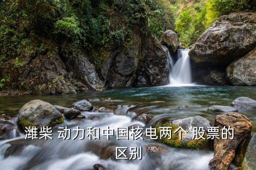  濰柴 動(dòng)力和中國(guó)核電兩個(gè) 股票的區(qū)別