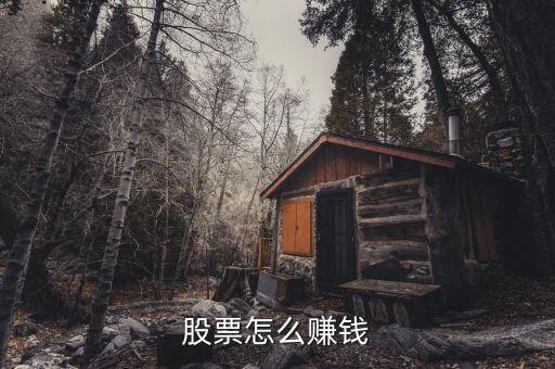 股票怎么賺錢(qián)
