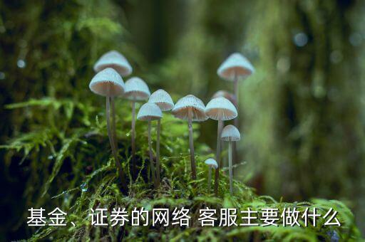  基金、證券的網(wǎng)絡 客服主要做什么