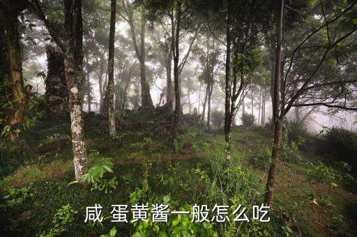 人造蛋黃醬怎么吃,蛋黃醬可用于面包沙拉、壽司等
