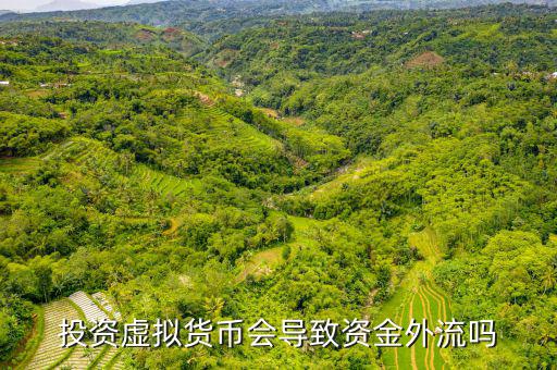 寶慈資產(chǎn)怎么樣,虛擬貨幣難以追蹤大多數(shù)國家持謹慎態(tài)度