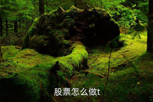 股票怎么做t比較好,開(kāi)盤(pán)后現(xiàn)金買入或現(xiàn)金賣出股票當(dāng)天可獲利