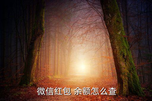 微信余額怎么查,微信查詢銀行卡余額流程如下；