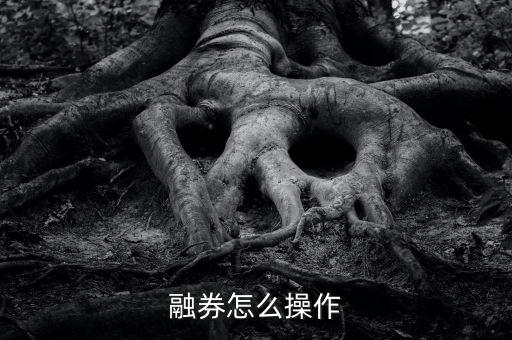 融券券源怎么查,轉融通業(yè)務三大重點: