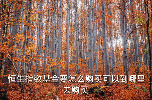  恒生指數(shù)基金要怎么購(gòu)買(mǎi)可以到哪里去購(gòu)買(mǎi)