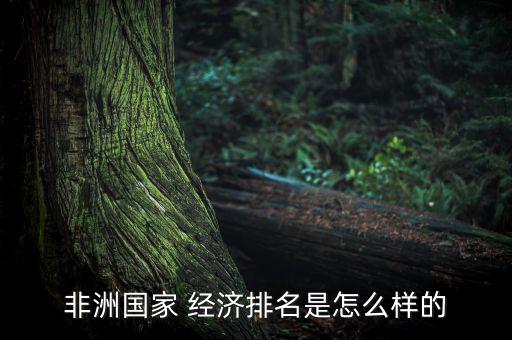 非洲國家 經濟排名是怎么樣的