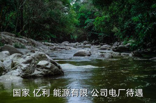 億利能源公司業(yè)務怎么樣,化工行業(yè)的優(yōu)秀企業(yè)