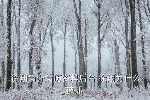 徐翔是怎么回事,徐翔、王偉、犯受賄罪被判入獄五年半