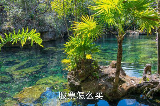  股票怎么買(mǎi)