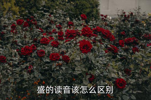 嘉盛中心的盛怎么讀,盛會、豐盛、茂盛、盛大等五個漢字