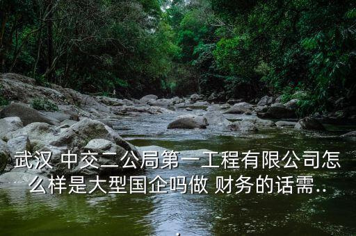 武漢 中交二公局第一工程有限公司怎么樣是大型國(guó)企嗎做 財(cái)務(wù)的話(huà)需...