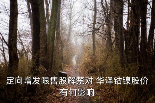 華澤鈷鎳怎么樣,鎳礦概念股:吉恩鎳業(yè)、華澤鈷鎳、恒順電氣