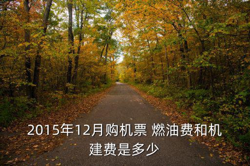 2015飛機(jī)燃油費怎么算,我國取消機(jī)場建設(shè)費和燃油費