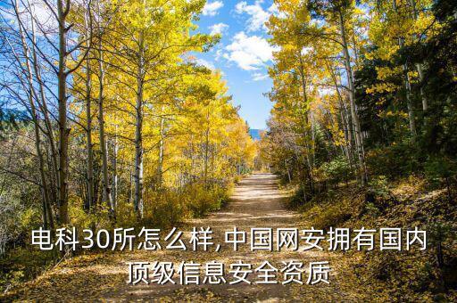 中國電科30所怎么樣,中國網(wǎng)安擁有國內(nèi)頂級信息安全資質
