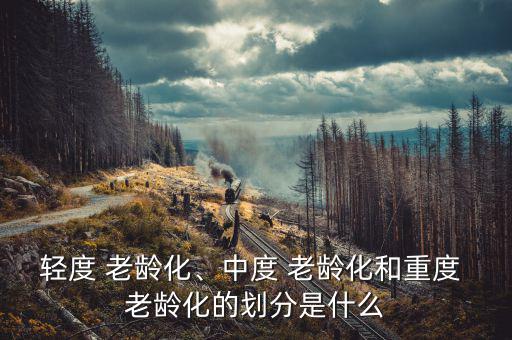 輕度 老齡化、中度 老齡化和重度 老齡化的劃分是什么