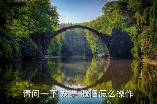 請問一下 發(fā)票 驗(yàn)舊怎么操作