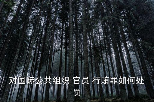 對(duì)國際公共組織 官員 行賄罪如何處罰