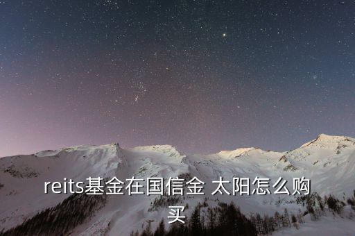 reits基金在國(guó)信金 太陽怎么購買