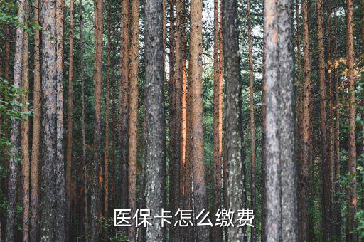  醫(yī)?？ㄔ趺蠢U費(fèi)