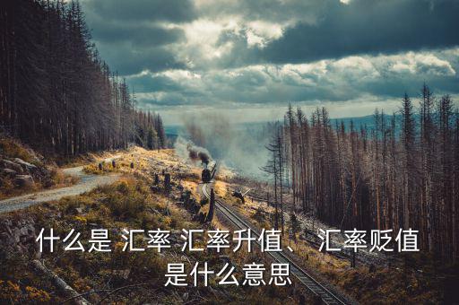 什么是 匯率 匯率升值、 匯率貶值是什么意思