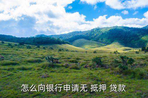 免抵押貸款是怎么貸,抵押貸款、擔(dān)保貸款一般略高于-0貸款