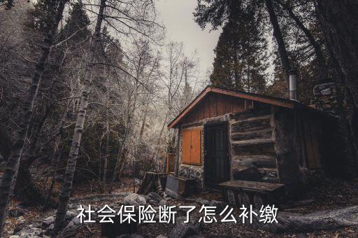 社會保險(xiǎn)斷了怎么補(bǔ)繳