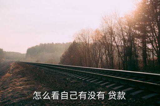 陸金所怎么看自己貸款,如何查詢(xún)企業(yè)貸款信息?