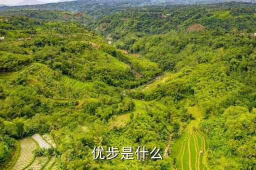 優(yōu)步滬郊短駁是什么，我的車符合UBER高級(jí)轎車為什么是人民優(yōu)步的價(jià)格