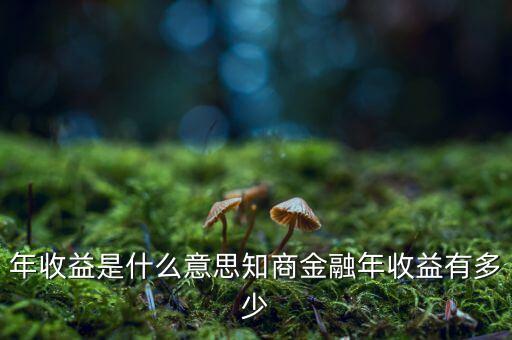 資金占用年收益是什么意思，利息支出中有個(gè)資金占用費(fèi)這個(gè)是什么意思