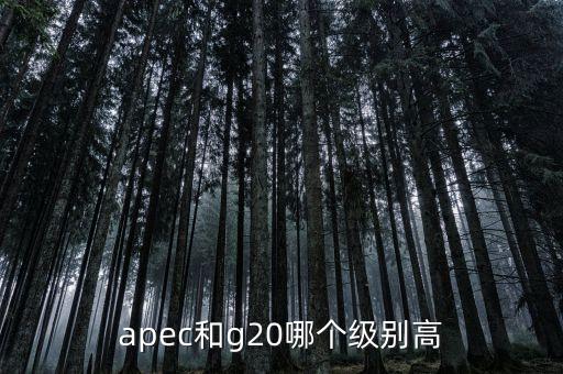 國際貿(mào)易額由什么組成，國際貿(mào)易額和對外貿(mào)易額兩者的區(qū)別