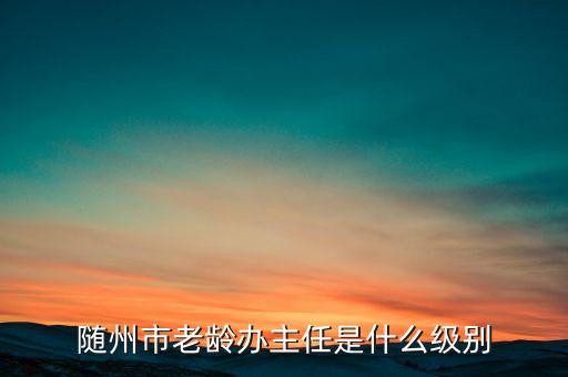 全國老齡辦副主任什么級別，全國老齡委辦公室副主任 什么級別