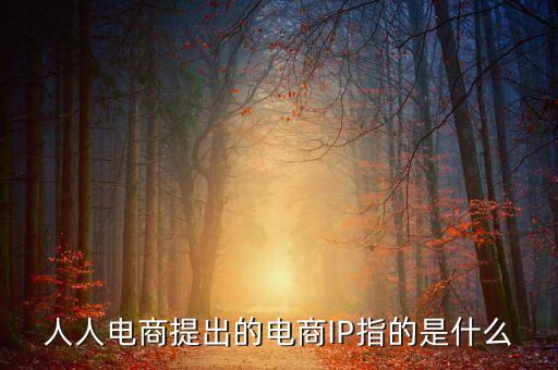 什么是ip經(jīng)濟(jì)，人人電商提出的電商IP指的是什么