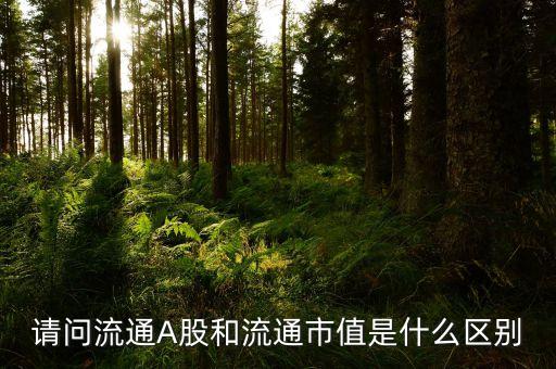 a股流通市值是什么，請問流通A股和流通市值是什么區(qū)別